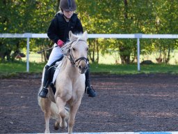IMG_6951_web
